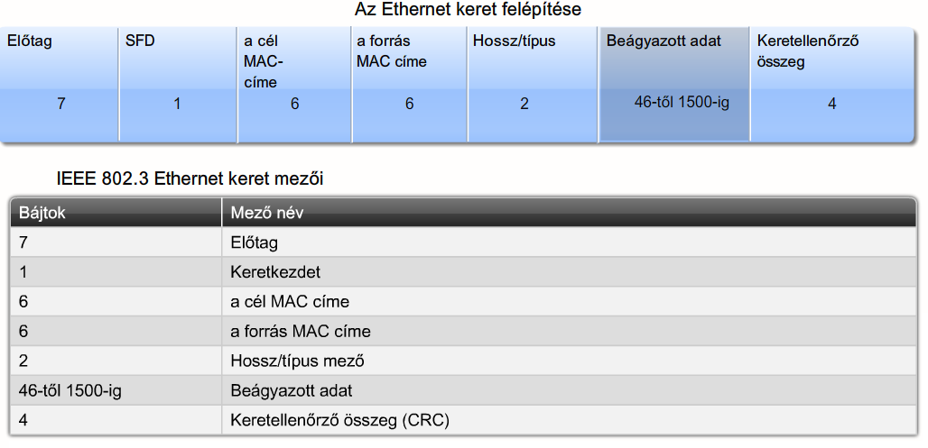 A hálózati szabványokat az IEEE bizottságai kezeli, ők felelnek az átviteli közegekre, kommunikációs protokollokra vonatkozó szabályok jóváhagyásáért.