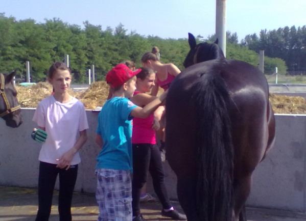 - Ló megsimogatása: A ló fejétől kezdve kell végig simogatni a lovat. A gyerekek szeretetüket elsődlegesen ezzel a mozdulattal tudják kifejezni.