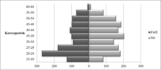 A képzésben részt vett személyek korcsoportok szerinti megoszlása A fiatalabb korosztályokban (15 29) férfitöbblet van A férfiak esetében a legnagyobb érdeklődés a 20 24 éves korosztályban