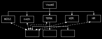 4. ábra A törzsegységi szervezeti forma 3. A funkcionális szervezeti forma A funkcionális szervezetekben a szakterületek (azaz funkciók) szerinti munkamegosztás az alapvető szervezési elv (lásd 5.