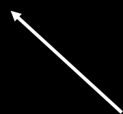 Hiszton deacetilázok (HDAC-k) Cink függő HDAC-k (HDAC-I) HDAC 1-3, 8 NAD-függő HDAC-k (HDAC-II) HDAC 4-7, 9 HDAC IV HDAC11 HDAC-I gátlók: elősegítik a neuronális progenítor sejtek differenciálódását