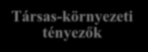 Vizsgálati módszerek és eszközök Pszichomotoros fejlődés Brunet-Lézine csecsemő és kisgyermek fejlődési skála (1980) Alskálái: Nagymozgás Finommotorika Beszéd Szociabilitás Biológiai tényezők