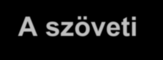 Antigén indukálta autoimmunitás - Szekvesztrált antigének felszabadulása - Saját antigének