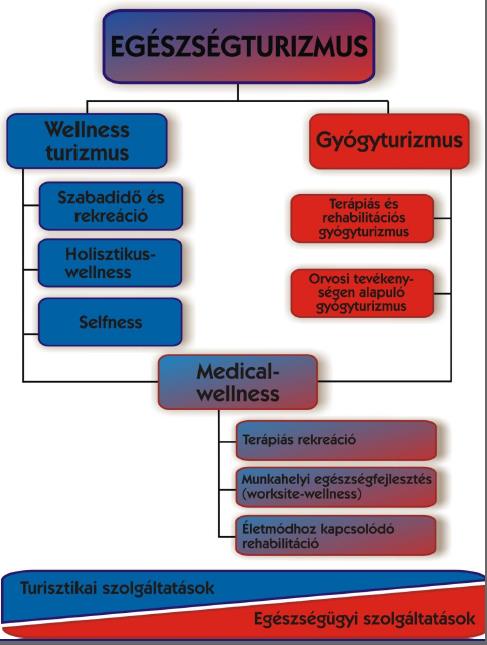 (Michalkó Rátz, 2011, 14. oldal) A gyógyturisztikai létesítményekben egészségügyi és turisztikai szolgáltatásokat egyaránt kínálnak, de nem ugyanakkora arányban.