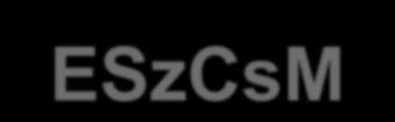 Jogi háttér III. Az egészségügyi szolgáltatások nyújtásához szükséges szakmai minimumfeltételekről szóló 60/2003. (. 20.) ESzCsM rendelet 2.