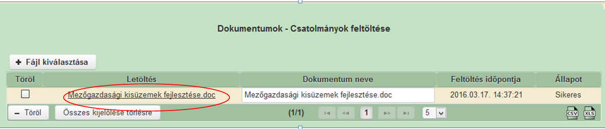 Fontos! A feltöltendő fájl mérete maximum 25 MB lehet. Ennél nagyobb fájlt nem tud feltölteni. Ezt hibaüzenet jelzi. Ezt követően adja meg a dokumentum egyértelmű rövid megnevezését.