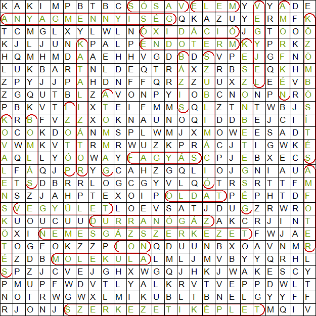 10.) Szókereső (25 pont) Hurrá! Elérkeztél az utolsó feladathoz. Fejtsd meg levezetésként a következő rejtvényt!