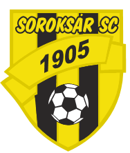 Tárgy: Soroksár Sport Club Kft. 2013. évi szakmai beszámolója Az előterjesztést készítette: Farkas Kálmán Soroksár Sport Club Kft.