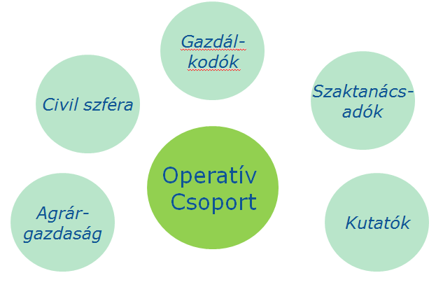 6. Szakágazatok tervezett intézkedései Európai Innovációs Partnerség (EIP) Alap-/irányelvek: Az EIP célja, az alulról építkező, a gazdák igényeire reagáló innováció megvalósításának támogatása.