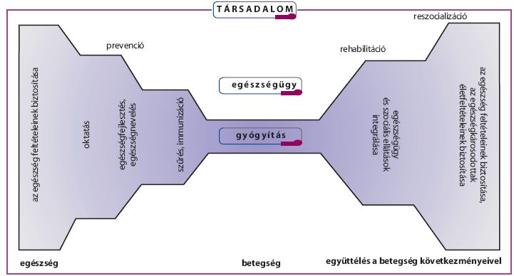 ábra 5: A szív és érrendszeri betegségek megelőzése nemzeti programja működési területei 5.