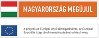 TÁMOP-4.2.3-12/1/KONV-2012-0016 Tudománykommunikáció a Z generációnak Projektvezető: Dr. Törőcsik Mária PTE KTK egyetemi tanár A munkacsoport vezetője: Dr.