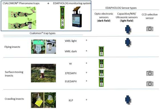 INSECTLIFE Innvative Real-time Mnitring and Pest cntrl fr