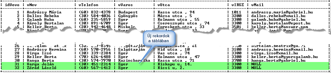 128 Rekordok beszúrása az adatbázis tábláiba A fenti példában minden mezőértéket megadtunk.