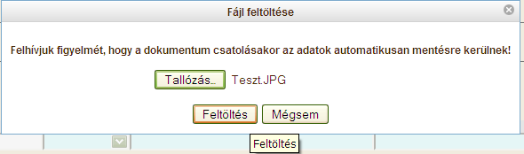 Sikeres feltöltés esetén a Fájl név mezőben megjelenik a feltöltött dokumentum illetve a Feltöltés ideje mező. A két mező nem szerkeszthető!