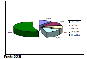 Magyarországon a gazdasági-társadalmi átalakulást követően a mezőgazdaságban egyszerre vannak jelen a nagy- és a kisméretű gazdaságok, az indokoltnál viszont jóval kevesebb a közepes méretű