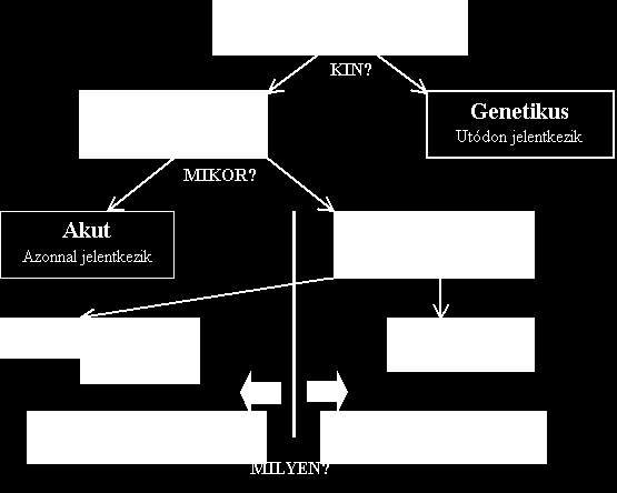 2.1. ábra. Az ionizáló sugárzás biológiai hatásainak osztályozása.