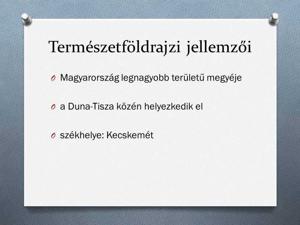 ÖSSZEFOGLALÓ BÁCS-KISKUN MEGYE Bács-Kiskun megye általános bemutatása A paprika Az