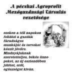 6 Karácsony, 2006. december 23 27. Tükör Kisgyermekkel egyedül, otthon nélkül Arad Nem mindenki olyan szerencsés, hogy a családdal, szeretteivel töltse a karácsonyt.