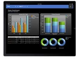 IBM Cognos Reporter 10