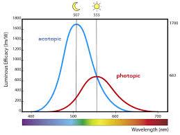 Human eye perception