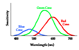 Spectral response of the