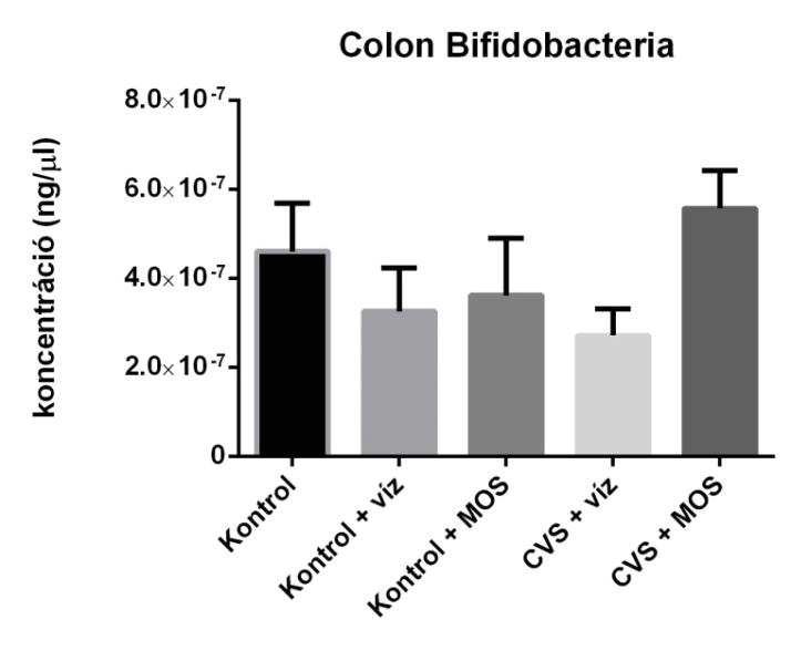 5.4. Bélflóra összetétel 5.4.1. Bélflóra összetétel a colonban Colon tartalomban a Bifidobacteriák mennyiségében (19.