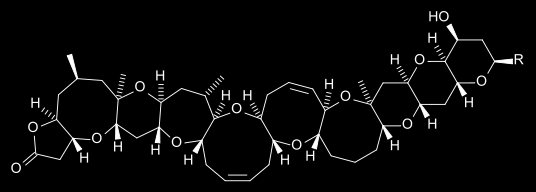 A DA neurotoxikus hatása glutamát agonista voltából adódik: bizonyos fajta glutamát receptorokhoz kötődve, hiperexcitabilitást idéz elő, mely intracelluláris Ca-szint emelkedéssel, a neuronok