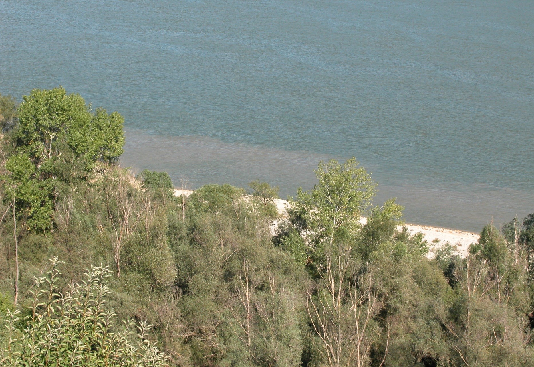 (23/22) A dunaszekcsői partcsuszamlás geodéziai megfigyelése Konklúziók: