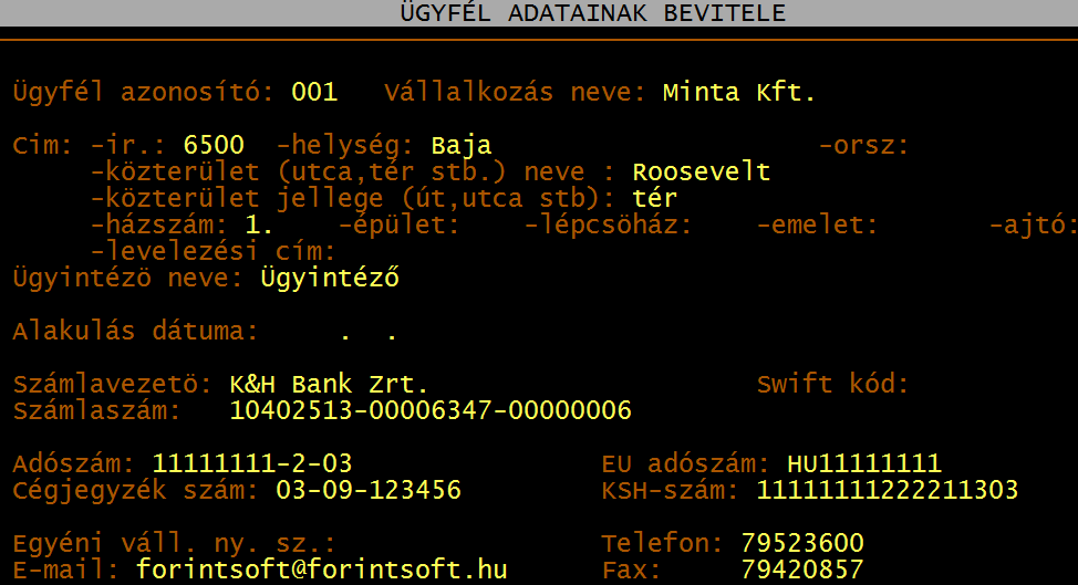 S z á m l á z á s v e v ő - s z á l l í t ó n y i l v á n t a r t á s ( U J V S Z ) 7 3. VÁLLALKOZÁS TÖRZSADATA, BEÁLLÍTÁSOK, ÉV NYITÁSA 3.1.