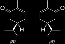 monoterpének (két izoprén egységből felépülő vegyületek) szerkezetük szerint lehetnek aliciklusosak, monociklusosak vagy biciklusosak.