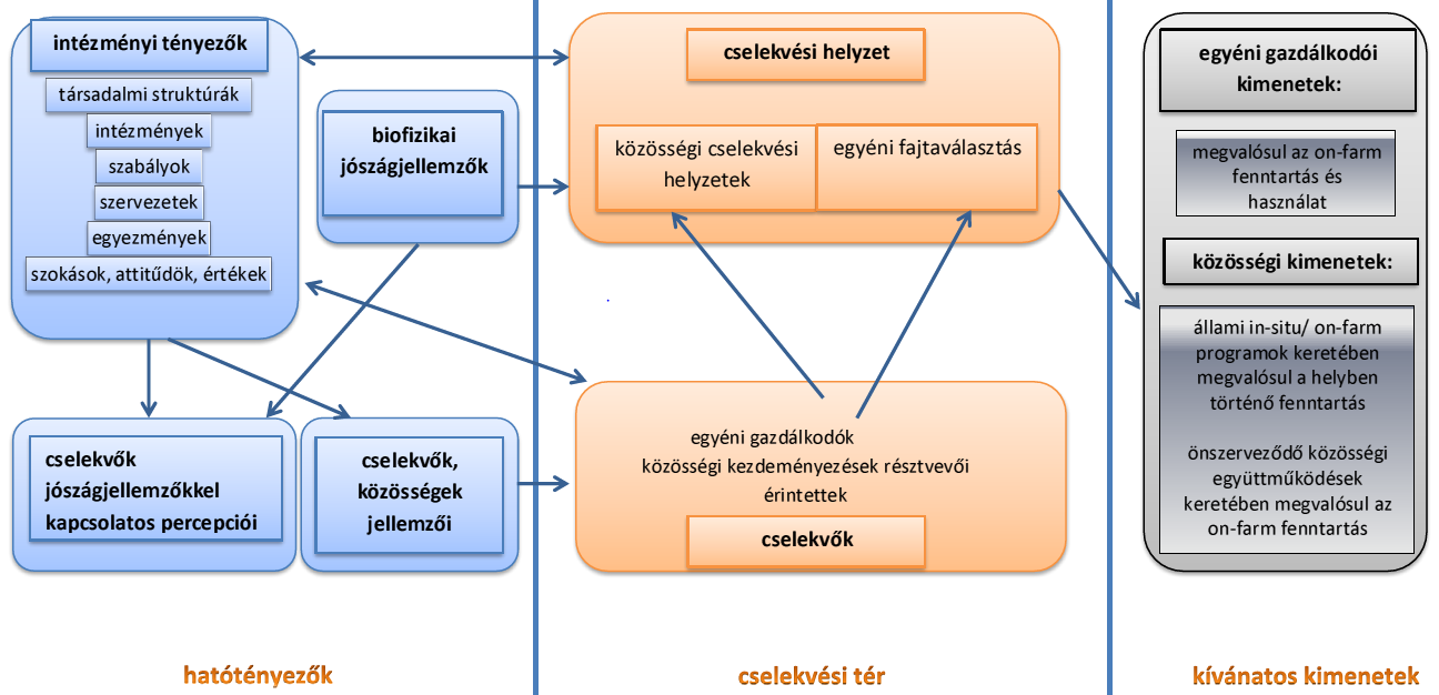 A cselekvések szereplőit és a cselekvési helyzeteket nem lehet elszigetelten kezelni attól a intézményi környezettől, amelyben jelen vannak.