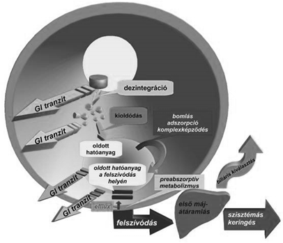 Opioid ok jellemző eliminációs sebessége Tartós és egyenletes hatás trandermális tapasszal erős opioidok ± NSAID ±adjuváns gyenge opioidok ± NSAID ±adjuváns I. NSAID ±adjuváns II.