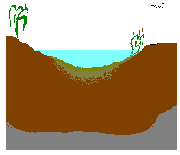 Milyen mintát vegyek, talajt vagy