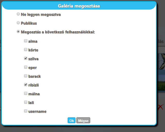 17. ábra: Tag hozzáadása 5.3.11 A megosztás beállítás menüjének felépítése Az AjaxControlToolkit elemei közül kiválasztottam és létrehoztam a Default.