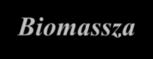 Biomassza A 2007. évben Szentesen bevezetett rendszeres ingyenes lakossági zöldhulladék begyűjtése folyamatos. A szolgáltató 2012.