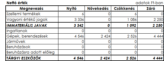 1.1. BEFEKTETETT ESZKÖZÖK A befektetett eszközök mérleg szerinti összege 12 694 eft.