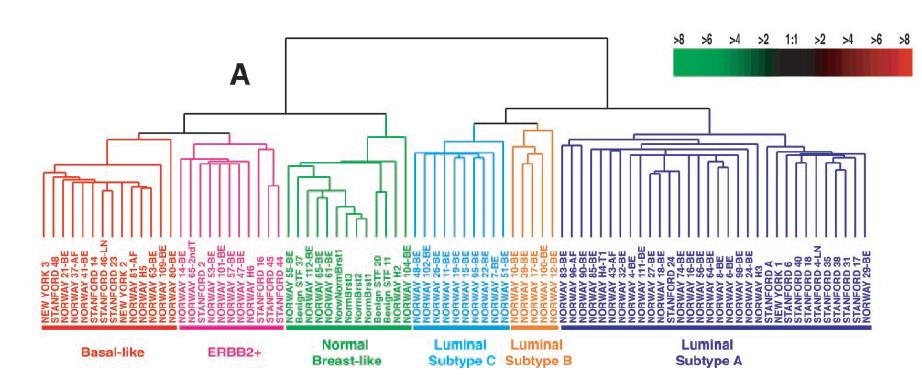 Sorlie et al. PNAS u September 11, 2001 u vol. 98 u no.