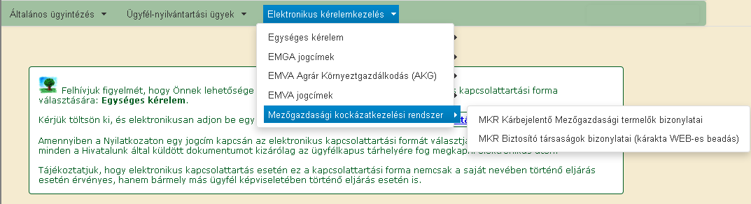 Amennyiben változás következett be az adataiban, vagy súlyos hibaüzenetet kapott, úgy a nyilatkozatot nem szabad beadni.