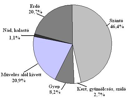 peer-reviewed article Ez átlagosan a vizsgált nemes nyár és akác fafajok esetében famagasságot illetően 20%, átmérő tekintetében 30% többletet jelent (Németh és tsai.