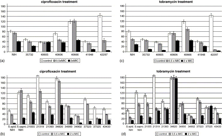 1. ábra: Baktérium törzsek műlencséhez való kitapadó képessége. Y tengelyen a kolonia formáló egység/cm 2. Ciprofloxacin (a, b) és tobramycin (c, d) sub-inhibitor (0.