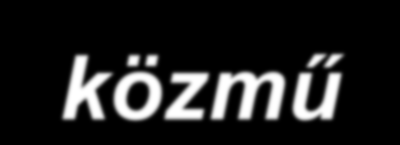 Az e-közmű jogszabály tervezet fő szempontjai Technológiai szempontok: a belterületi és külterületi nyilvántartások egységes rendszerbe integrálása egységes, térinformatikai alapú nyilvántartás -