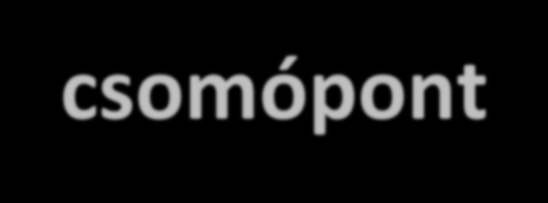 Alkalmazkodást