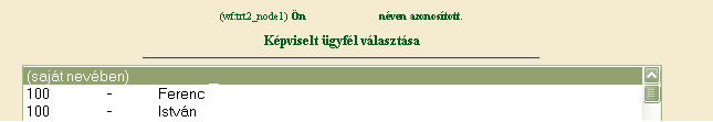 A megjelenő oldalon válassza ki, hogy saját nevében vagy meghatalmazottként kíván-e kérelmet benyújtani. Ha most kíván új meghatalmazást rögzíteni, akkor a saját nevében opciót válassza.