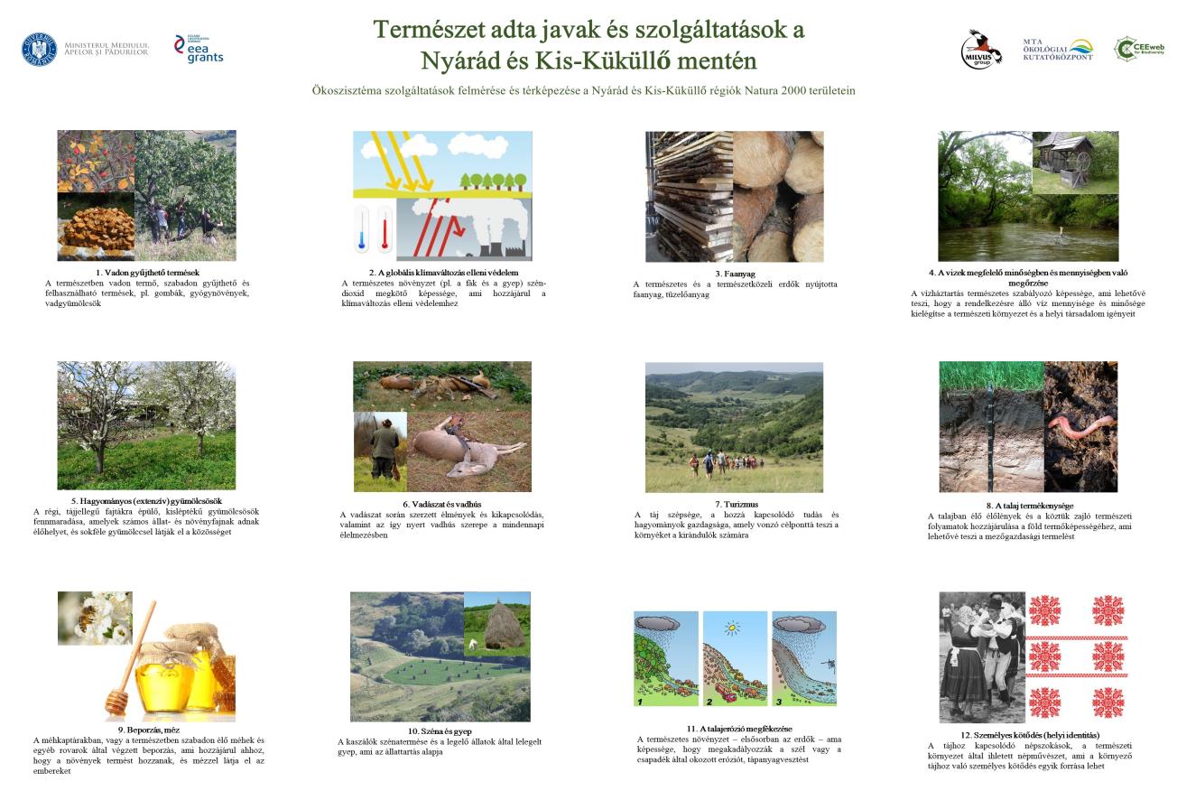 Összefoglaló tanulmány az Ökoszisztéma szolgáltatások felmérése és térképezése a Nyárád és Kis-Küküllő menti Natura 2000