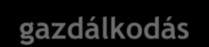 VTT Folyógazdálkodási tervezés SUMAD (2000.-2005.
