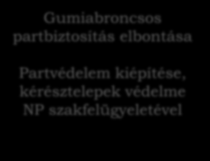 Tisza hullámtér projekt Meglévő partbiztosítás rendezése