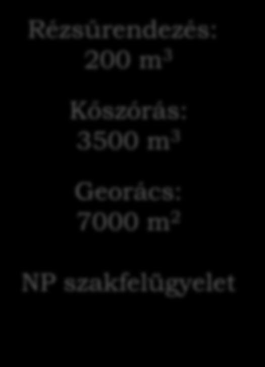 Tisza hullámtér projekt Hanyi-Tiszasülyi