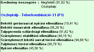 A piros színnel szedett hibajelzés [24] arra utal, hogy az adott nyomatékhoz az oszloptalp nem elég magas (azaz a csavarsorok túl közel vannak egymáshoz).