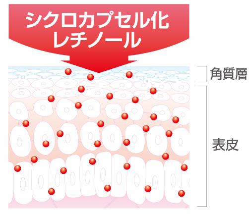 Retinol & Astaxanthin kör kapszula Kör kapszula szaruréteg A világ legkisebb természetes kapszulái Kb.