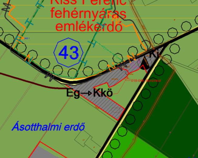 Ásotthalom Településrendezési Terv Módosítás 30 A tervezett megálló mögötti erdőterületen hajtánypályát és lombkorona sétányt tervez kialakítani a beruházó.